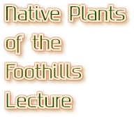 Native Plants of the Foothills Lecture