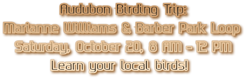 Audubon Birding Trip: Marianne Williams &amp; Barber Park Loop           Saturday, October 20, 8 AM – 12 PM Learn your local birds!